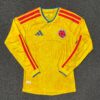 Colombia Home Full Sleeves Player Version